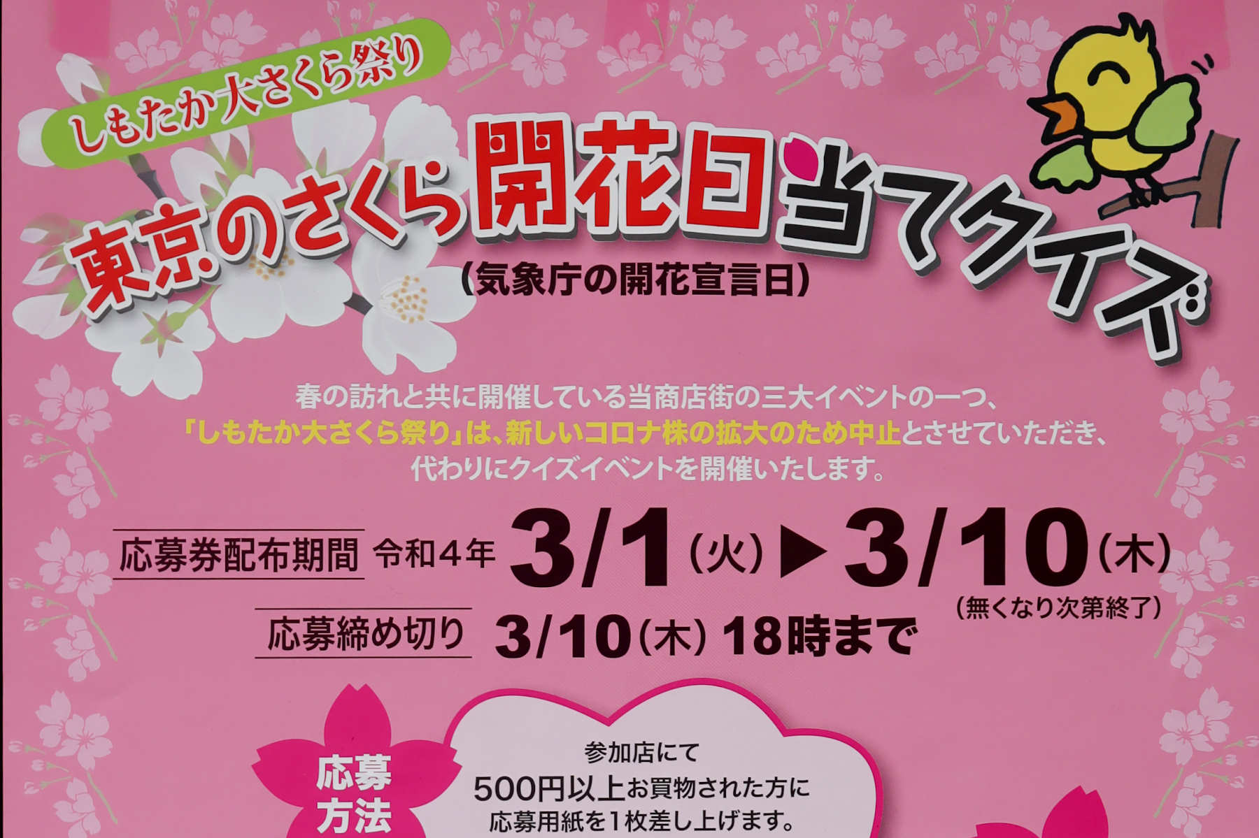 2022年「桜開花日当てクイズ」開催！しもたか大さくら祭りは中止