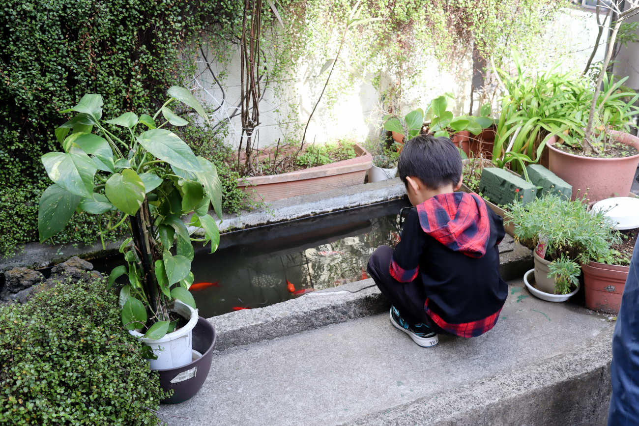 下高井戸駅前市場の池と子供