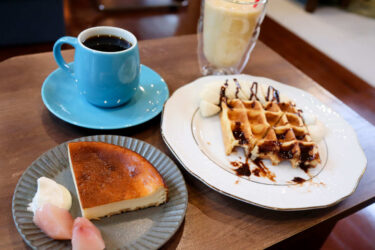 【CAFE VERDE】ゆったり空間と看板犬にベイクドチーズケーキ