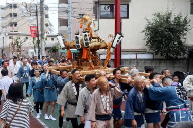 【赤堤六所神社】例大祭2024