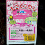 しもたか大さくら祭り2026は3月28日(土)開催!今年は会場と日程が変更に