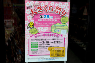 しもたか大さくら祭り2026は3月28日(土)開催！今年は会場と日程が変更に