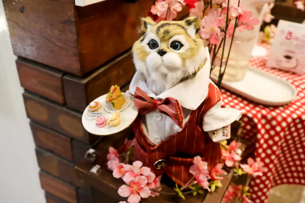 下高井戸 カフェ・コロラドのネコ店員