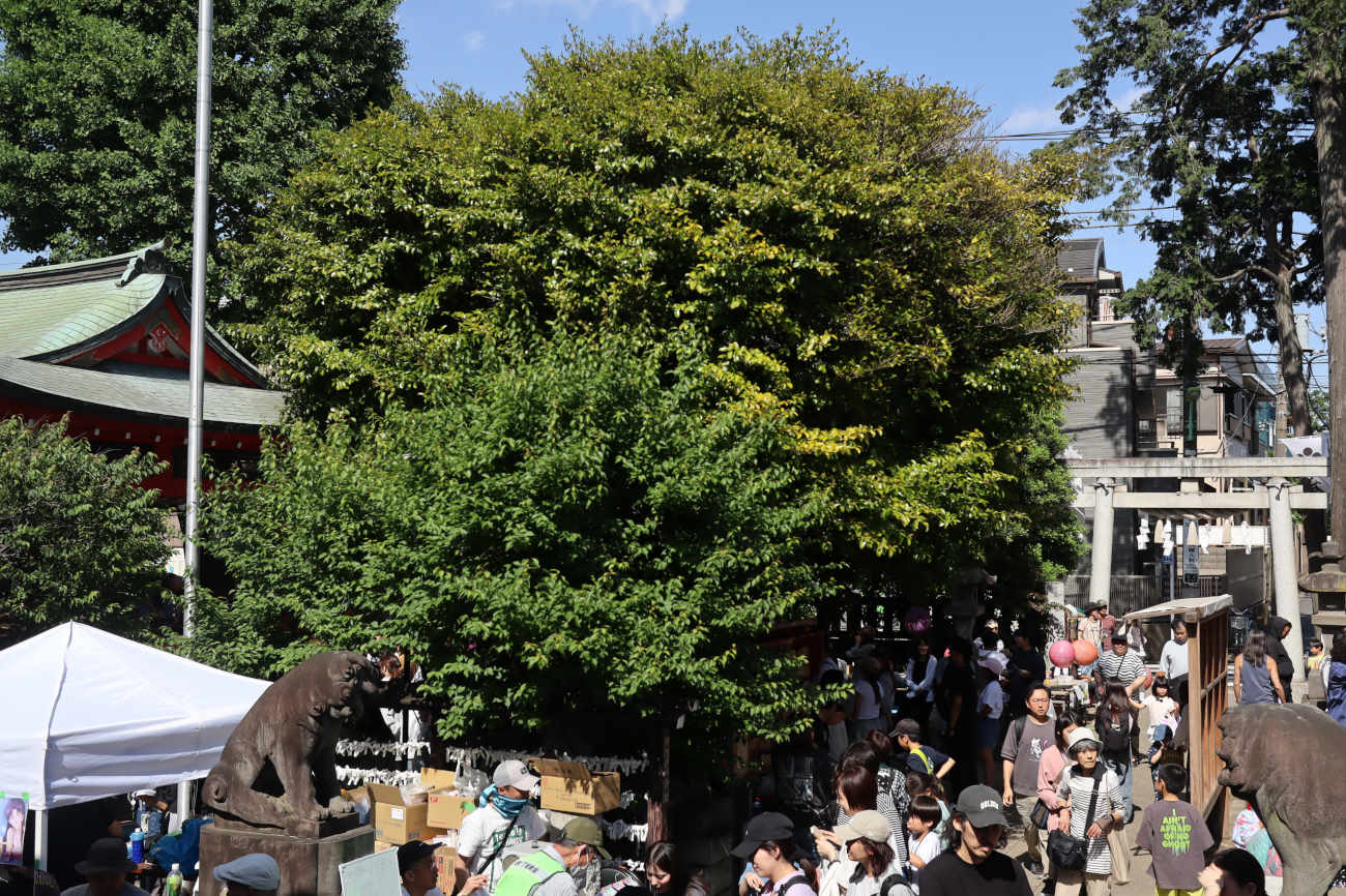 菅原神社 弁天まつり2026の弁天まつり
