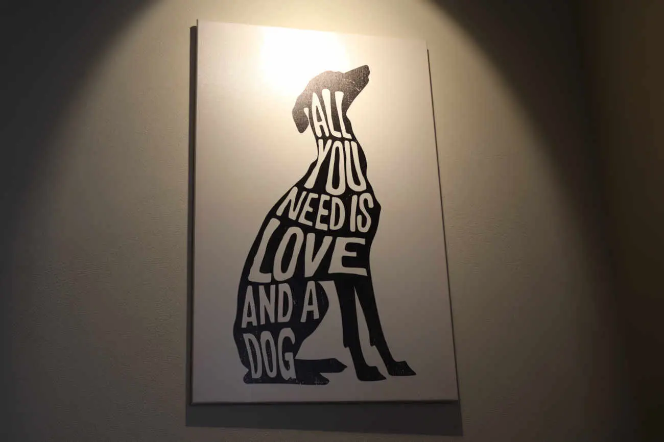 下高井戸 Fieroの犬の絵